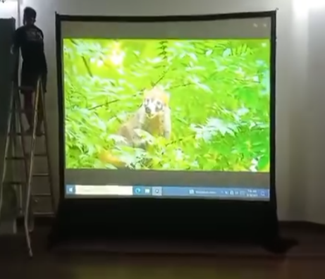 Infocus dan Screen - Proyektor dan layar untuk presentasi